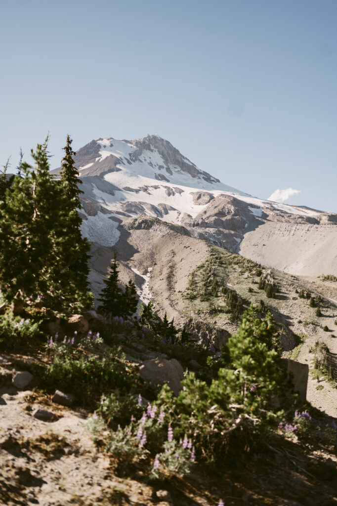 A sunny view of Mount Hood from Mount Hood Meadows Ski Resort