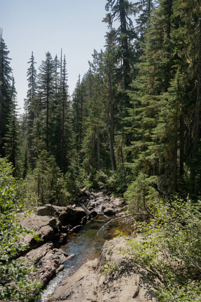 Scenic creek running through alpine forest near Snowgrass Trail, part of the elopement hike route in Goat Rocks Wilderness, Washington.