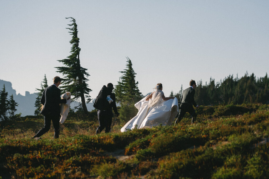 A wedding party hikes uphill through a meadow, the bride in a voluminous white gown flanked by three suited men, surrounded by windswept alpine trees.