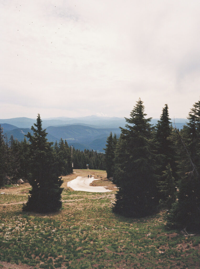 Early summer mountain views framed by tall evergreens on Mount Hood, with distant peaks visible beneath a soft sky.