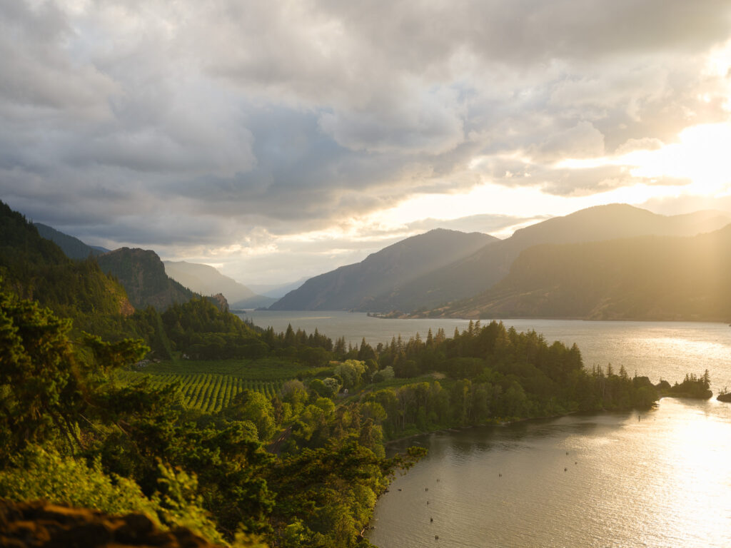Wide scenic view of the Columbia River Gorge at sunset, with vineyards, forested hills, and the river reflecting warm evening light.