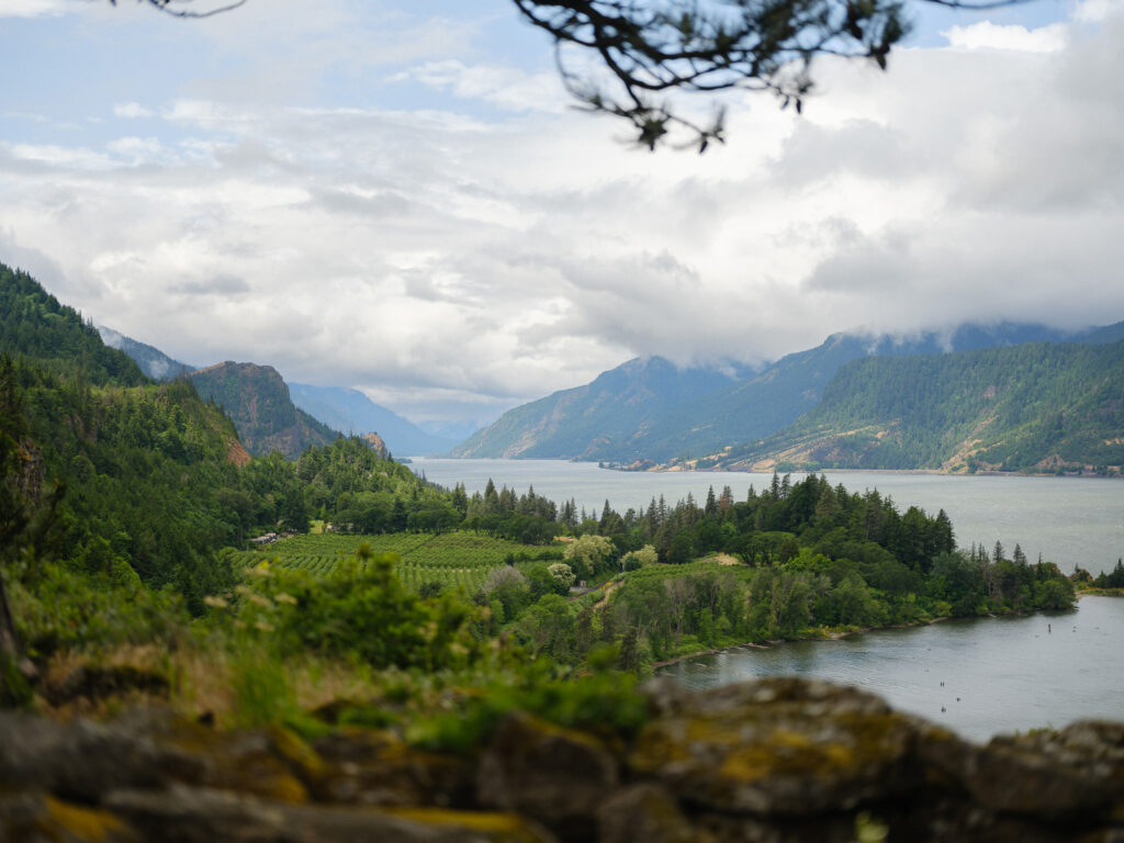 Wide scenic view of the Columbia River Gorge near the Griffin House, with forested hills, vineyards, and the river stretching into the distance.